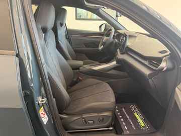 Cupra Terramar - 10