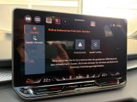 Cupra Terramar VZ 2.0 TSI DSG 4Drive PANO AHK 5J GAR bei Autohaus Landmann & Maier OHG