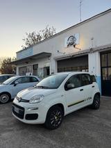 Fiat Panda 0.9 TwinAir Turbo Natural Power Young - Fiat Panda: Young