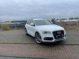 Audi SQ5 3.0 TDI competition tiptronic quattro - - Audi SQ5 in Düsseldorf