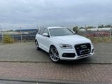 Audi SQ5 3.0 TDI competition tiptronic quattro - - Audi SQ5 in Köln