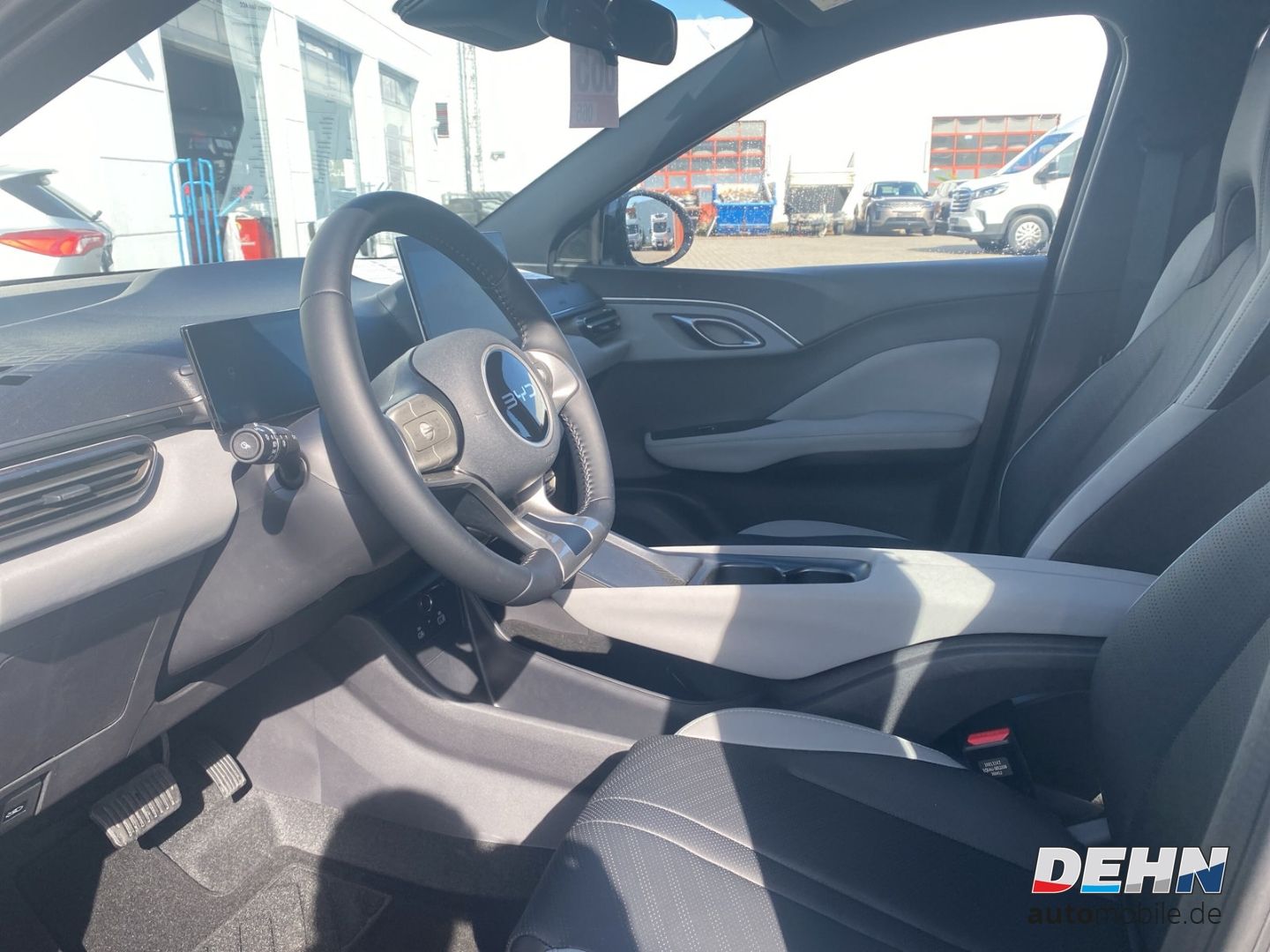 BYD DOLPHIN SURF