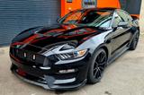 Ford Mustang Shelby Gt 350 - Ford Mustang: Shelby Gt350