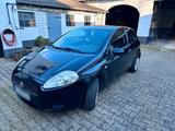 Fiat punto  erste Hand alles top gepflegt - Fiat Punto in Mönchengladbach