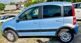 Fiat Panda 1.2 8V Climbing  4X4 ALLRAD PANORAMADACH - Fiat Panda: Allradantrieb, Climbing