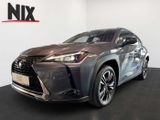 Lexus UX 250h Style Edition - Lexus UX aus 2023