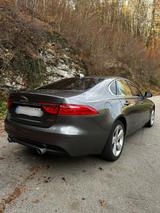 Jaguar XF 30d 300PS Prestige Virtual Cokpit TÜV Neu - Jaguar: X300