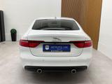 Jaguar XF 3.0 D V6 Sport NAVI/MERIDIAN/XEN/KAM/SHZ/LMF - Jaguar XF mit Diesel-Antrieb: 3.0