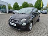 Fiat 500 1.0 GSE Mild Hybrid Klima & Sound - Fiat 500 in Halle