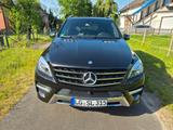 Mercedes-Benz ML 350 4MATIC - AHK, Scheckheft, 61750km,Garage - Mercedes-Benz ML 350 mit Benzin-Antrieb: Automatik