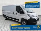 Fiat Ducato Kastenwagen L2H1 3,5t Diesel 140MT Kamera - Fiat Ducato Tageszulassungen