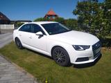Audi A4 2.0 TFSI ultra - Top gepflegt-Ab 01.09.
