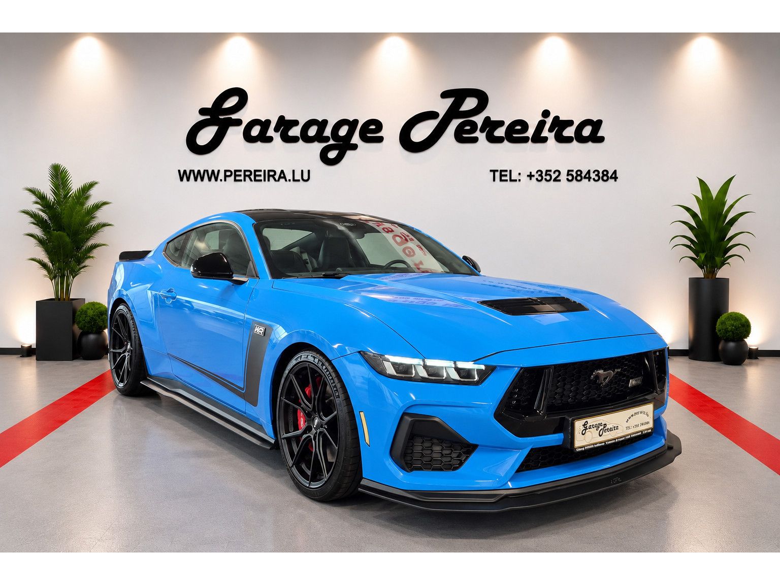 Ford Mustang 5.0 V8 GT LIMITED EDITION WR N°006 GARAN imagem 2