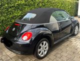 Volkswagen New Beetle 1.4 Cabriolet - Neues Verdeck! - Volkswagen: Roadster, Verdeck