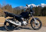 Yamaha YBR 125 (2012) - Offers