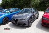 Alfa Romeo Stelvio Veloce 2.0 Q4 Pano/Ragazzon/AHK Vom AR V - gebrauchte Alfa Romeo Stelvio aus dem Jahr 2023