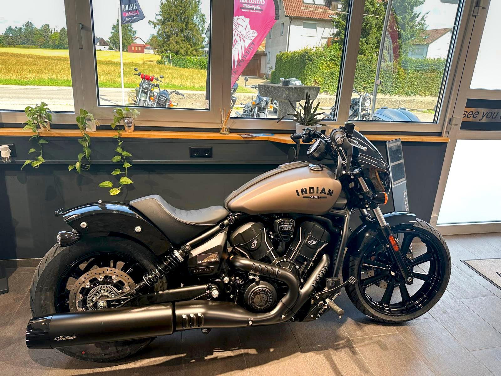 Indian 2025 Sport Scout LIMITED *Nara Bronze*