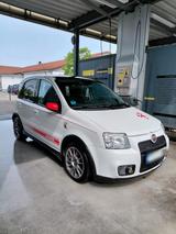 Fiat fiat panda 100hp - Fiat Panda: 100 Hp