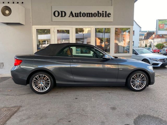 BMW 220 i Cabrio  Luxury Line/LED/Navi/Leder/HiFi