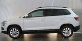 Skoda Karoq Ambition Sport Moon white! - Skoda: Weiß
