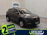 Hyundai Tucson 1.6 Classic blue 2WD - Hyundai TUCSON in Rostock