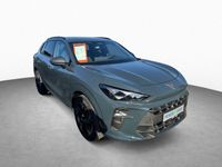 Cupra Terramar - Vorschau Bild 3