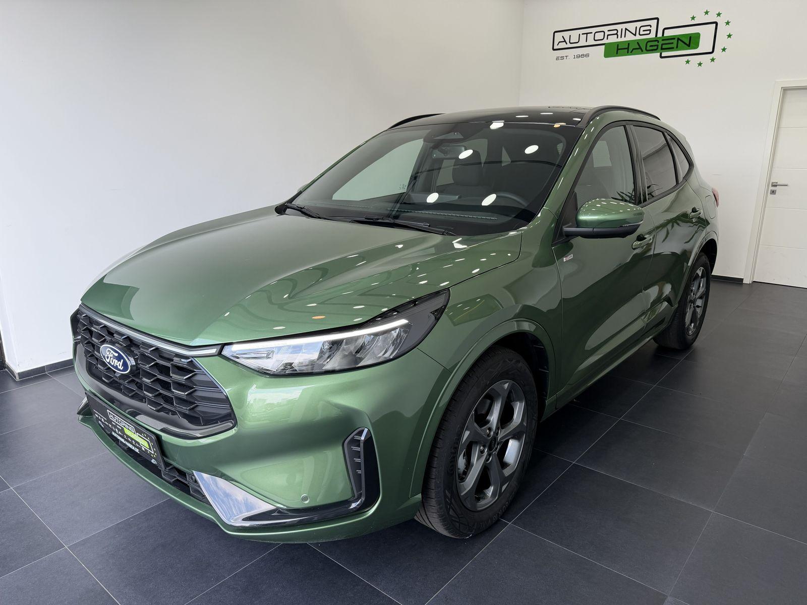 Ford ST-Line 186PS Automatik AHK|Navi|5JGar|Winter
