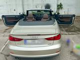Audi A3 2.0 TDI quattro S line, Cabrio, ACC, Leder - Audi A3 von privat