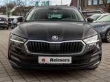 Skoda OCTAVIA C. CLEVER 2.0 TDI DSG 4xSHZ FLA SpurH - Skoda Octavia: TDI
