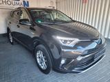 Toyota RAV4 Hybrid Edition+/1.BESITZ/SCHECKHEFT*TOP - Toyota RAV 4 Gebrauchtwagen in Berlin