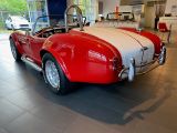 Cobra AC Cobra, Everett Morrison 427, 7,0 V8 - Cobra: Roadster