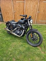 Harley-Davidson Sportster XL 883 N Iron - HARLEY-DAVIDSON SPORTSTER XL 883 N IRON