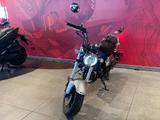 Honda Dax 125 - HONDA DAX
