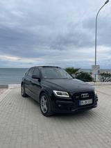 Audi SQ5 3.0 TDI tiptronic quattro - - Audi SQ5 in Bonn
