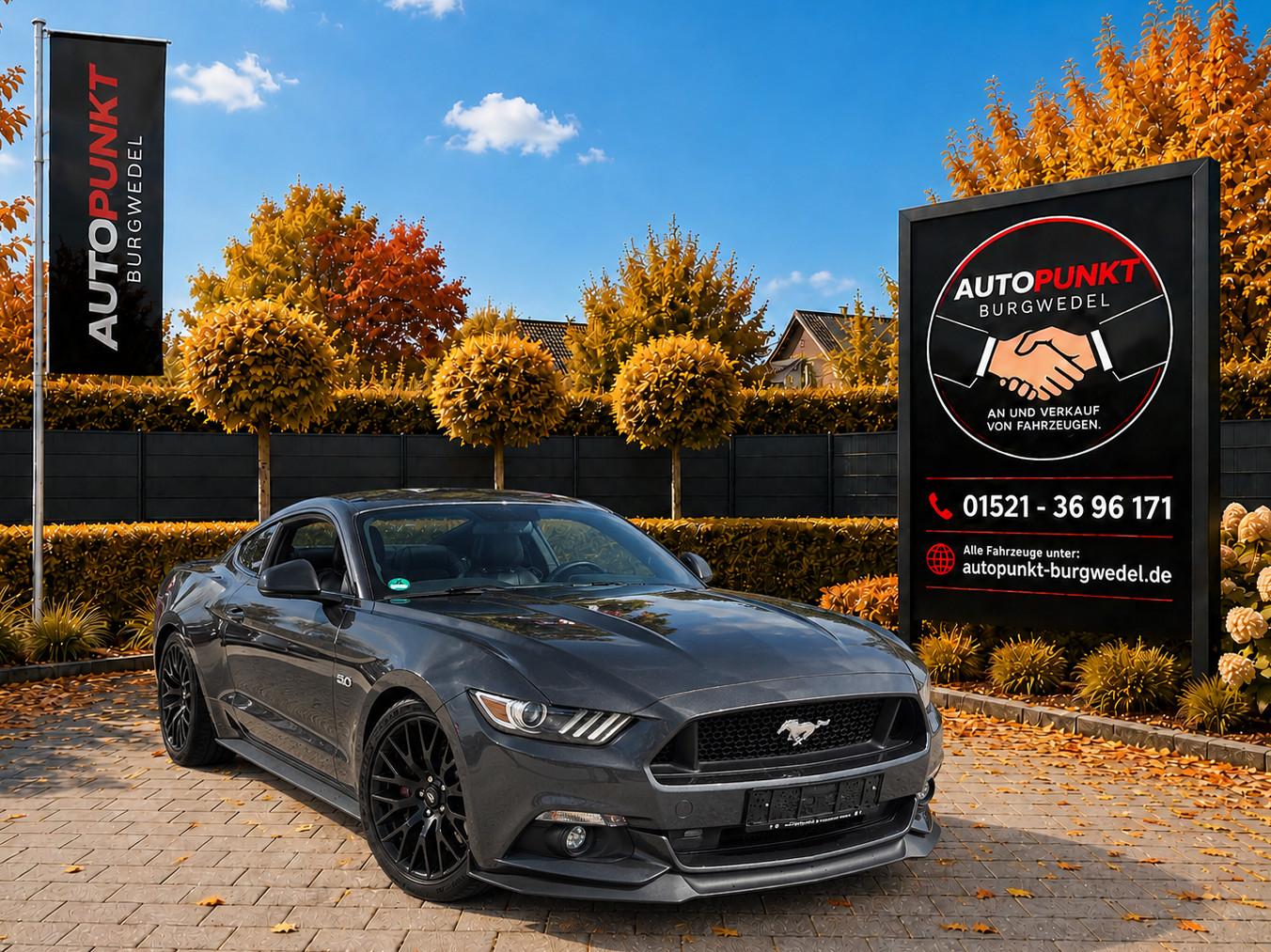 Ford Mustang GT Fastback 5.0 V8 421 ch BVA / 40 400 km / Premium Pack / Cuir ventilé / Caméra de recul