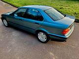 BMW 318i E36 Youngtimer Rostfrei 2. Hand - BMW 318: Grün