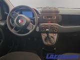 Fiat Panda 1.0 70PS Klima DAB Spurhalteass. Verkehrsz - Fiat Panda aus 2025