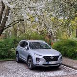 Hyundai Santa Fe 2019 2.2D TÜV/SERVICE/REI... - Hyundai SANTA FE: Se