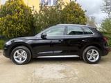 Audi Q5 2.0 TDI 190 CV quattro S tronic Business - Behindertengerechte Audi Q5