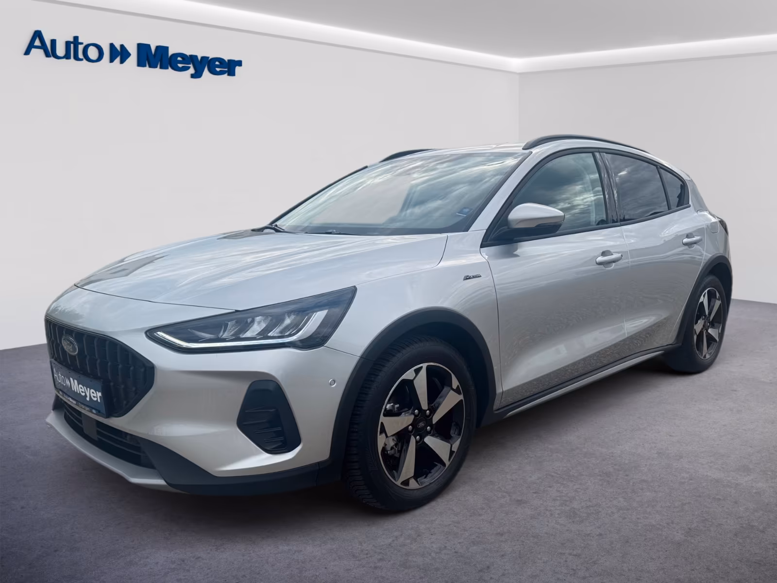 Ford Meyer Endingennull