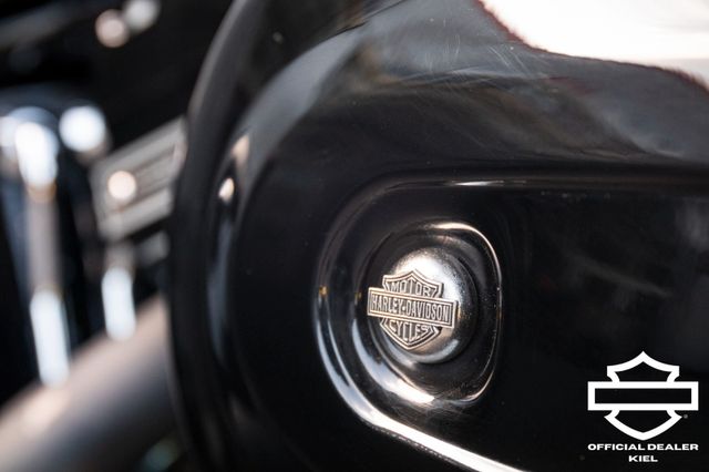 Fahrzeugabbildung Harley-Davidson FLSS SOFTAIL SLIM S 110 - MCJ-KLAPPENAUSPUFF