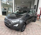 Ford EcoSport 1.0 EcoBoost 125 CV Start&Stop Tit - Ford EcoSport Kombi Gebrauchtwagen