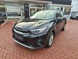 Kia Stonic 1.2L Edition 7 *Sitzhz*Apple*Android* - gebrauchte Kia Stonic aus dem Jahr 2023