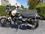 Triumph Scrambler 1200 XE neues Modell