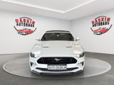 Ford Mustang GT Convertible DEUTSCHES AUTO/UNFALLFREI - Auto DE gebraucht