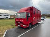 Iveco Pferdetransporter | 58.492 km | Wohnkabine etc.