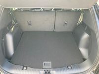 Ford Kuga - Vorschau Bild 18