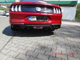 Ford Mustang 5.0 Ti-VCT V8 GT, Unfallfrei,Scheckheft, - Ford Mustang mit Benzin-Antrieb: Cabrio, 5.0