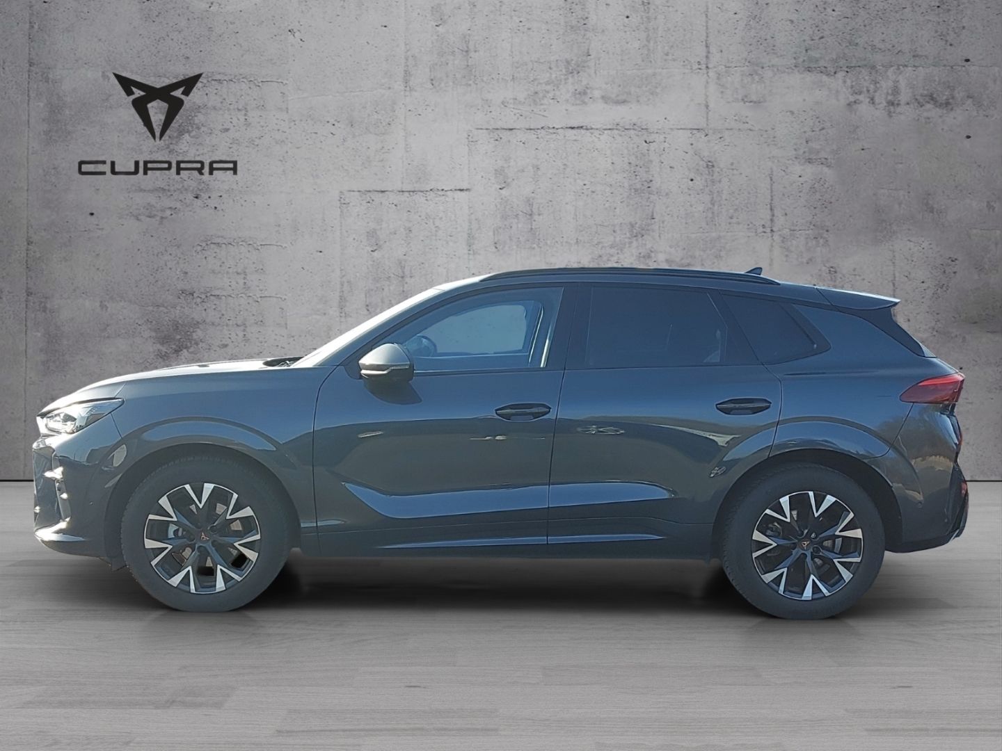 Cupra Terramar - Bild 4