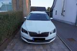 Skoda Superb 2.0 TSI DSG 4x4 Style Combi Style - Skoda Superb in Kiel